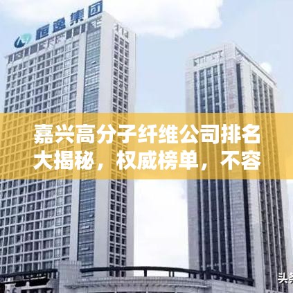 嘉興高分子纖維公司排名大揭秘，權(quán)威榜單，不容錯過！