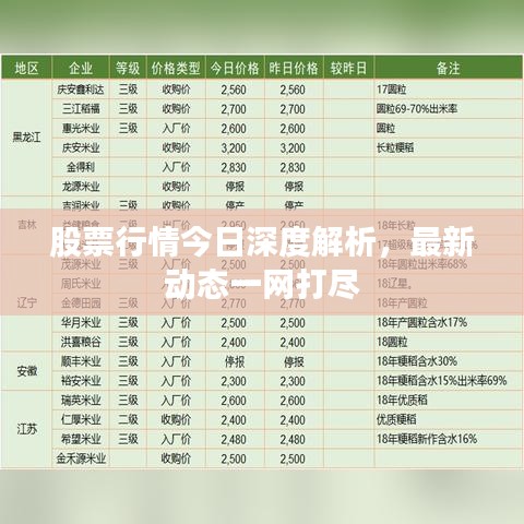 股票行情今日深度解析，最新動(dòng)態(tài)一網(wǎng)打盡