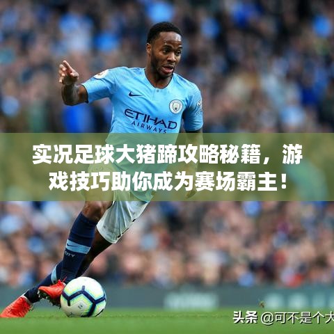 實(shí)況足球大豬蹄攻略秘籍，游戲技巧助你成為賽場(chǎng)霸主！