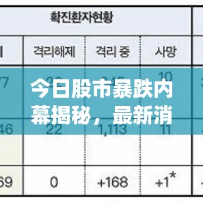 今日股市暴跌內(nèi)幕揭秘，最新消息、深度分析與應(yīng)對策略