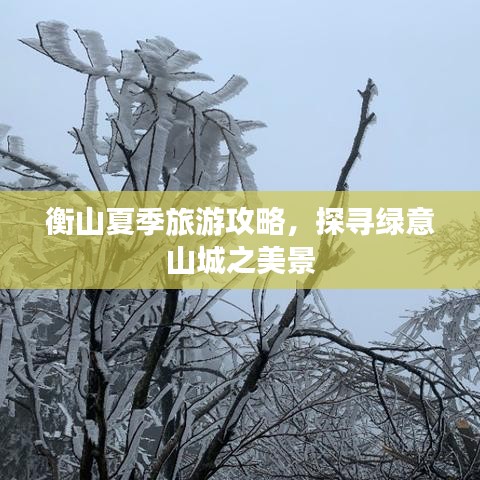 質(zhì)而不俚 第5頁