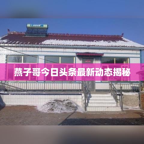 燕子哥今日頭條最新動(dòng)態(tài)揭秘