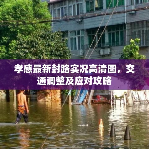 孝感最新封路實(shí)況高清圖，交通調(diào)整及應(yīng)對(duì)攻略