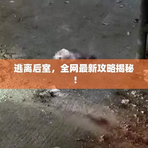 逃離后室，全網(wǎng)最新攻略揭秘！