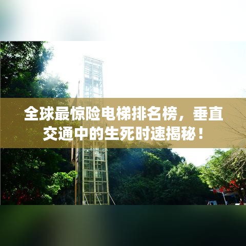 全球最驚險電梯排名榜，垂直交通中的生死時速揭秘！