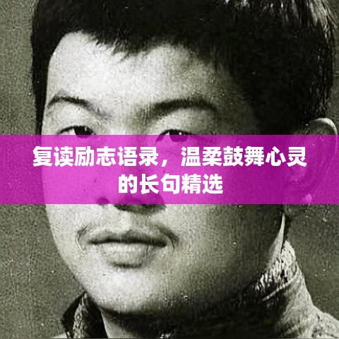 復讀勵志語錄，溫柔鼓舞心靈的長句精選