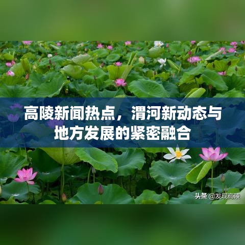 高陵新聞熱點，渭河新動態(tài)與地方發(fā)展的緊密融合