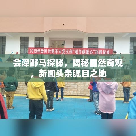 會(huì)澤野馬探秘，揭秘自然奇觀，新聞?lì)^條矚目之地