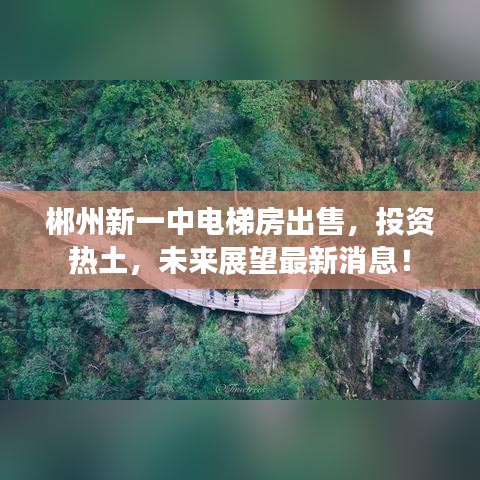 郴州新一中電梯房出售，投資熱土，未來展望最新消息！
