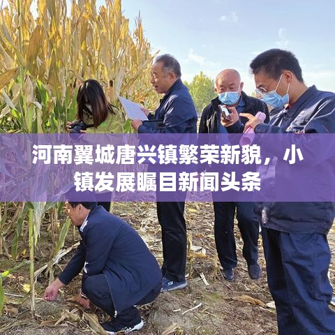 河南翼城唐興鎮(zhèn)繁榮新貌，小鎮(zhèn)發(fā)展矚目新聞頭條