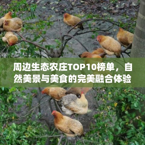 周邊生態(tài)農(nóng)莊TOP10榜單，自然美景與美食的完美融合體驗(yàn)