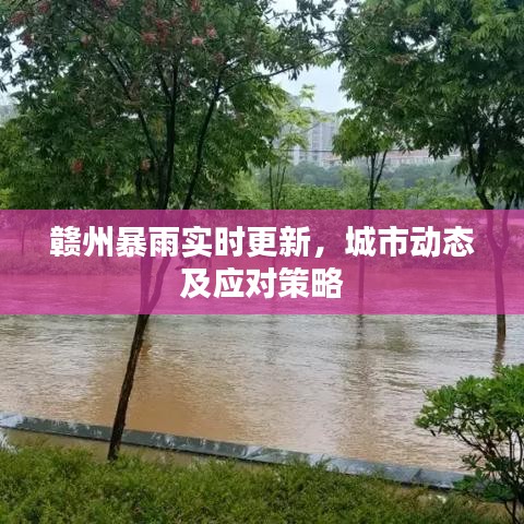 贛州暴雨實時更新，城市動態(tài)及應對策略