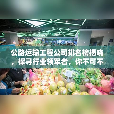 公路運(yùn)輸工程公司排名榜揭曉，探尋行業(yè)領(lǐng)軍者，你不可不知！