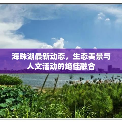 海珠湖最新動態(tài)，生態(tài)美景與人文活動的絕佳融合
