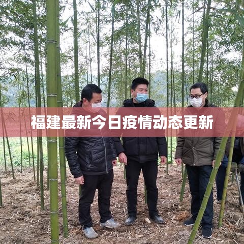 福建最新今日疫情動(dòng)態(tài)更新