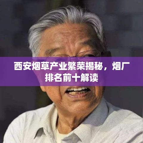 西安煙草產(chǎn)業(yè)繁榮揭秘，煙廠排名前十解讀