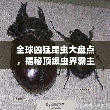 千辛萬苦 第4頁