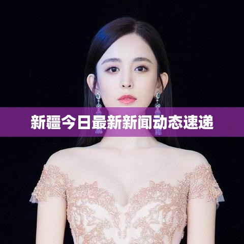 新疆今日最新新聞動態(tài)速遞
