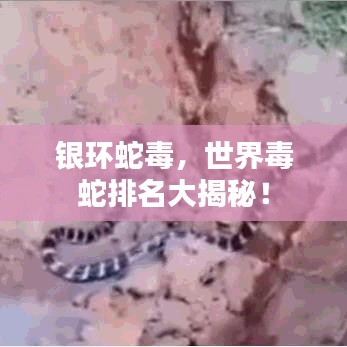 津津有味 第6頁