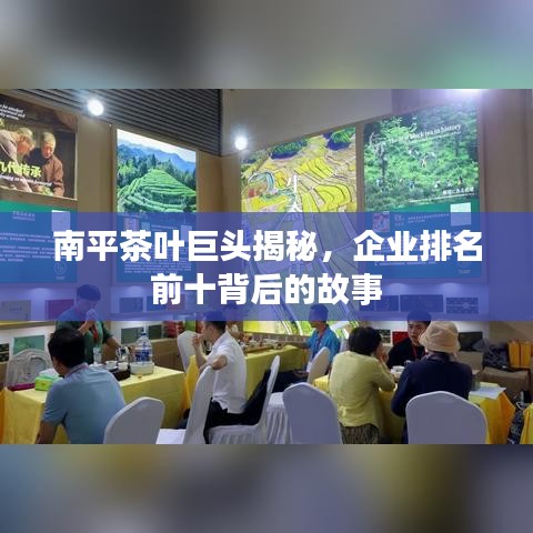 南平茶葉巨頭揭秘，企業(yè)排名前十背后的故事