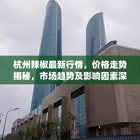 杭州辣椒最新行情，價(jià)格走勢(shì)揭秘，市場(chǎng)趨勢(shì)及影響因素深度剖析