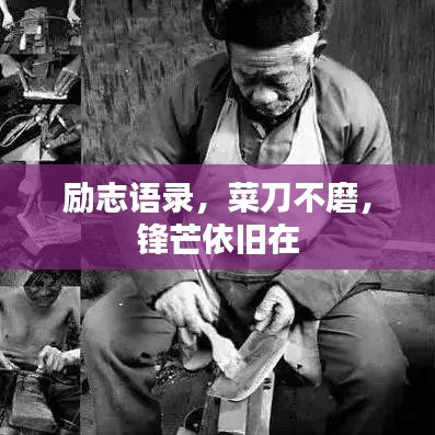 勵(lì)志語(yǔ)錄，菜刀不磨，鋒芒依舊在