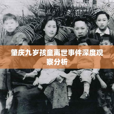 肇慶九歲孩童離世事件深度觀察分析