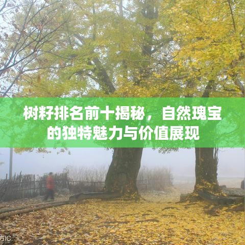 樹籽排名前十揭秘，自然瑰寶的獨特魅力與價值展現(xiàn)
