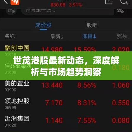 世茂港股最新動(dòng)態(tài)，深度解析與市場(chǎng)趨勢(shì)洞察