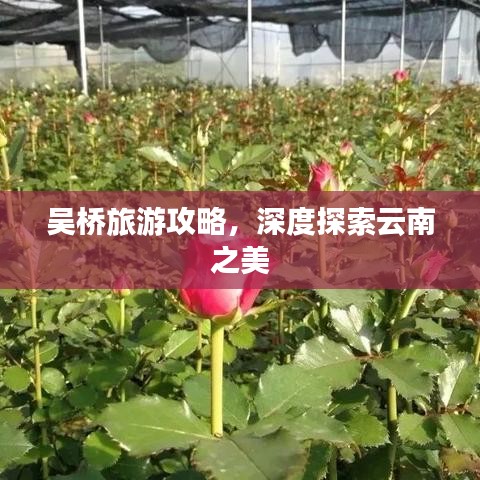 吳橋旅游攻略，深度探索云南之美