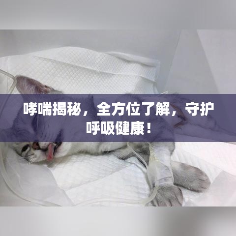 哮喘揭秘，全方位了解，守護(hù)呼吸健康！