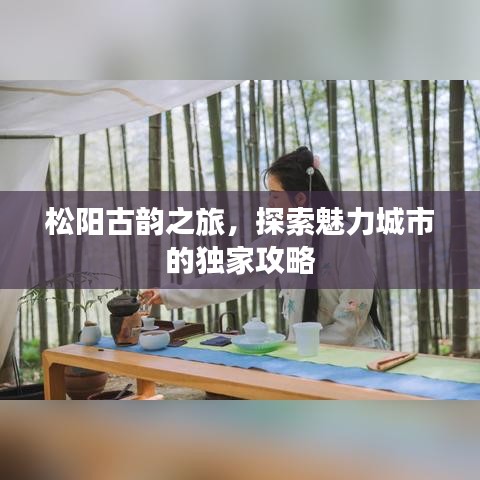 松陽古韻之旅，探索魅力城市的獨家攻略