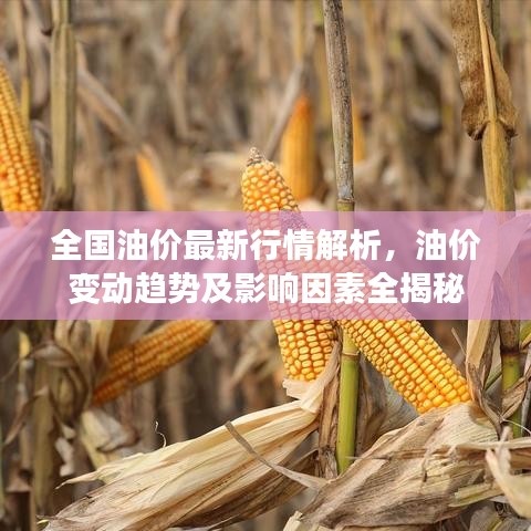 全國(guó)油價(jià)最新行情解析，油價(jià)變動(dòng)趨勢(shì)及影響因素全揭秘
