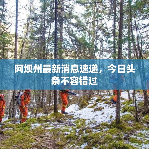 阿壩州最新消息速遞，今日頭條不容錯過
