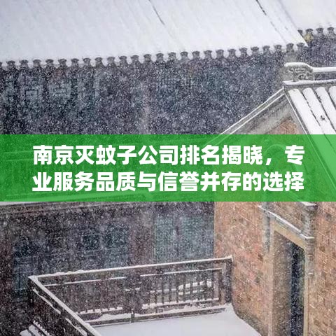 南京滅蚊子公司排名揭曉，專業(yè)服務(wù)品質(zhì)與信譽(yù)并存的選擇