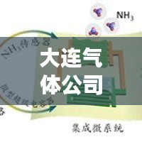 大連氣體公司排名揭曉，行業(yè)影響力深度解析