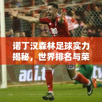 諾丁漢森林足球?qū)嵙颐?，世界排名與榮耀背后的實(shí)力地位分析