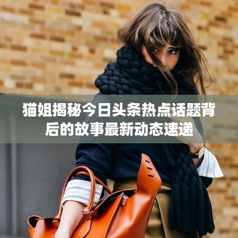 貓姐揭秘今日頭條熱點話題背后的故事最新動態(tài)速遞