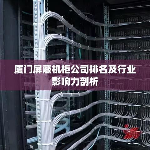 廈門屏蔽機(jī)柜公司排名及行業(yè)影響力剖析