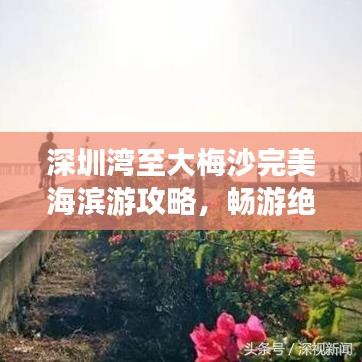 深圳灣至大梅沙完美海濱游攻略，暢游絕佳路線(xiàn)揭秘！