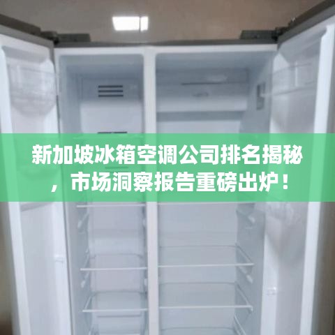 新加坡冰箱空調(diào)公司排名揭秘，市場洞察報告重磅出爐！