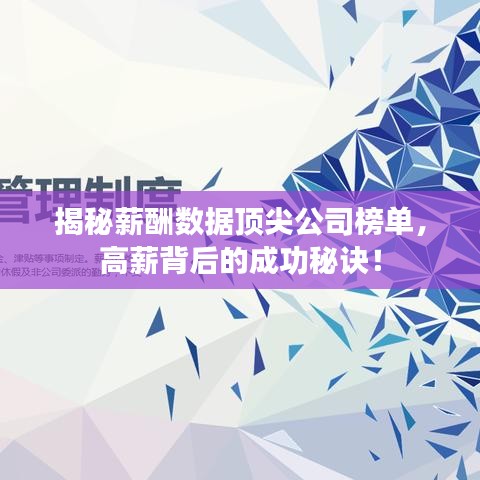 揭秘薪酬數(shù)據(jù)頂尖公司榜單，高薪背后的成功秘訣！