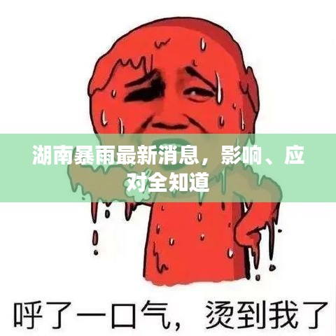 湖南暴雨最新消息，影響、應(yīng)對全知道