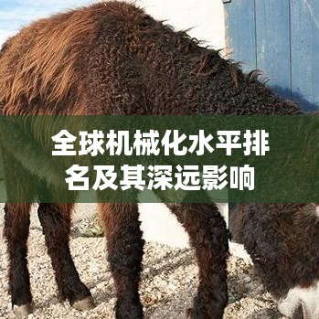 全球機(jī)械化水平排名及其深遠(yuǎn)影響