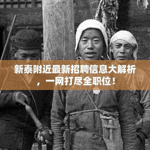 新泰附近最新招聘信息大解析，一網(wǎng)打盡全職位！