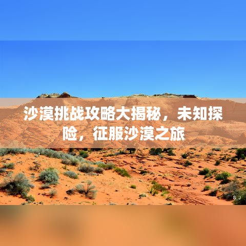 沙漠挑戰(zhàn)攻略大揭秘，未知探險(xiǎn)，征服沙漠之旅