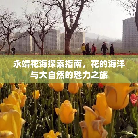 永靖花海探索指南，花的海洋與大自然的魅力之旅