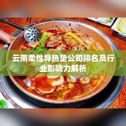 云南柔性導(dǎo)熱墊公司排名及行業(yè)影響力解析