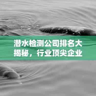 潛水檢測(cè)公司排名大揭秘，行業(yè)頂尖企業(yè)實(shí)力榜單！