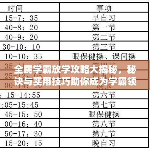 全民學(xué)霸放學(xué)攻略大揭秘，秘訣與實(shí)用技巧助你成為學(xué)霸領(lǐng)袖！